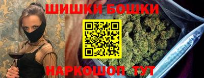 МДПВ Добрянка