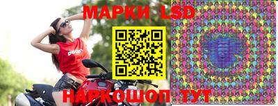 МДПВ Добрянка