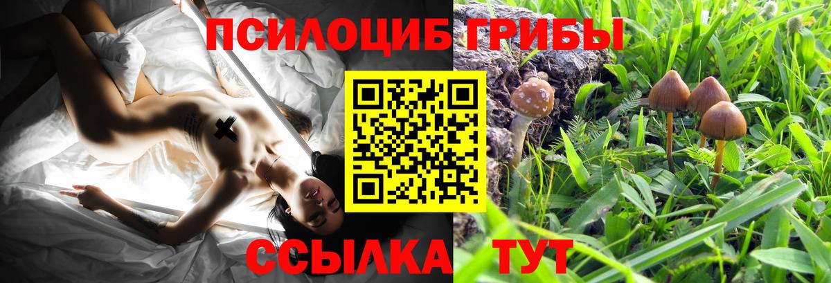 Галлюциногенные грибы ЛСД Нефтекамск