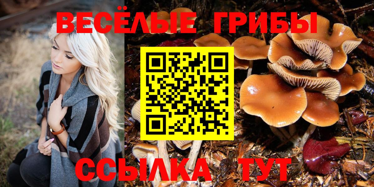 Галлюциногенные грибы ЛСД  Вход с VPN  Галлюциногенные грибы MAGIC MUSHROOMS  Нефтекамск 